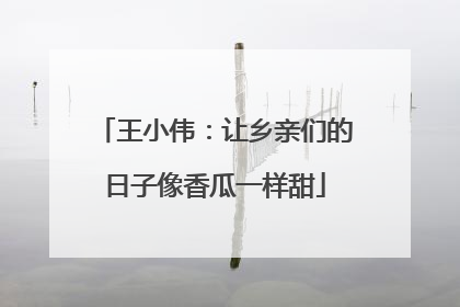 王小伟：让乡亲们的日子像香瓜一样甜