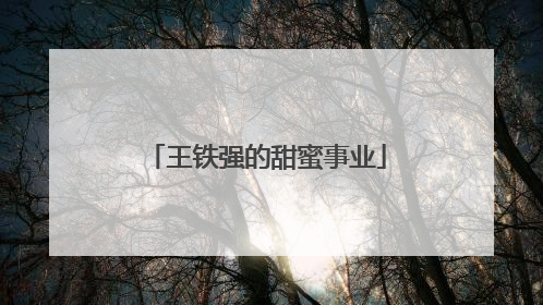 王铁强的甜蜜事业
