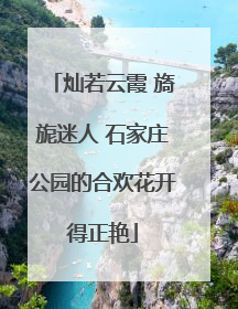 灿若云霞 旖旎迷人 石家庄公园的合欢花开得正艳