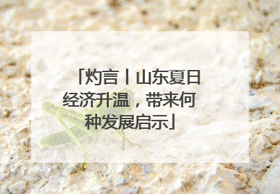 灼言丨山东夏日经济升温，带来何种发展启示