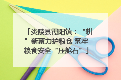 炎陵县霞阳镇：“耕”新聚力护粮仓 筑牢粮食安全“压舱石”
