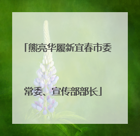 熊亮华履新宜春市委常委、宣传部部长