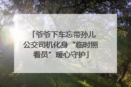 爷爷下车忘带孙儿 公交司机化身“临时照看员”暖心守护