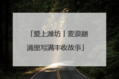 爱上潍坊丨麦浪翻涌里写满丰收故事