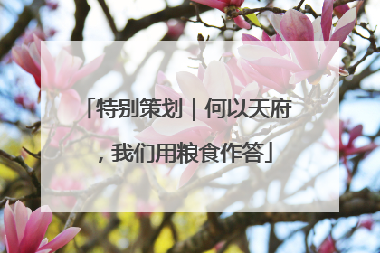 特别策划｜何以天府，我们用粮食作答