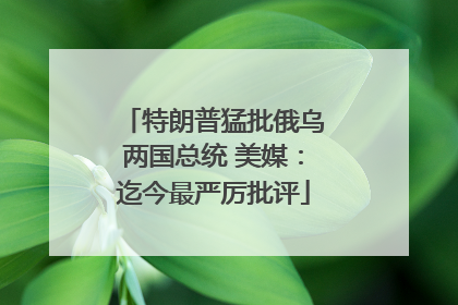 特朗普猛批俄乌两国总统 美媒：迄今最严厉批评
