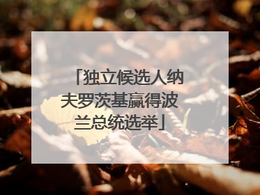 独立候选人纳夫罗茨基赢得波兰总统选举