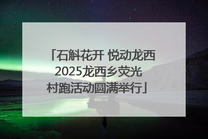 石斛花开 悦动龙西 2025龙西乡荧光村跑活动圆满举行