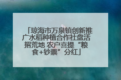 琼海市万泉镇创新推广水稻种植合作社盘活撂荒地 农户喜提“粮食+钞票”分红