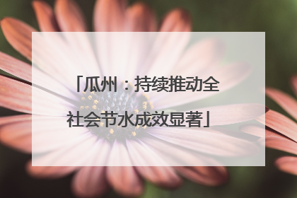 瓜州：持续推动全社会节水成效显著