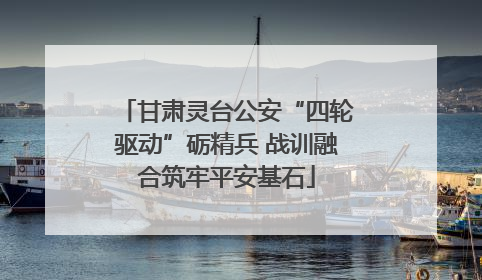 甘肃灵台公安“四轮驱动”砺精兵 战训融合筑牢平安基石