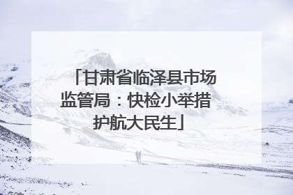 甘肃省临泽县市场监管局：快检小举措 护航大民生