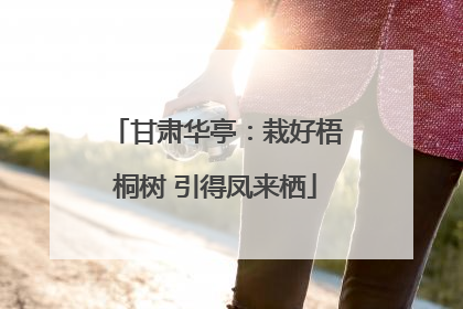 甘肃华亭：栽好梧桐树 引得凤来栖