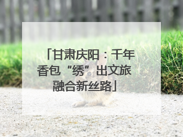 甘肃庆阳：千年香包“绣”出文旅融合新丝路