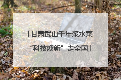 甘肃武山千年浆水菜“科技焕新”走全国