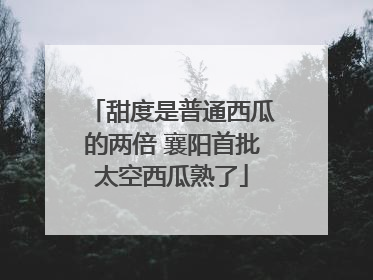 甜度是普通西瓜的两倍 襄阳首批太空西瓜熟了
