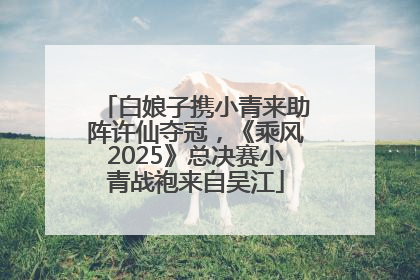 白娘子携小青来助阵许仙夺冠，《乘风2025》总决赛小青战袍来自吴江