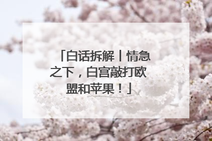 白话拆解丨情急之下，白宫敲打欧盟和苹果！