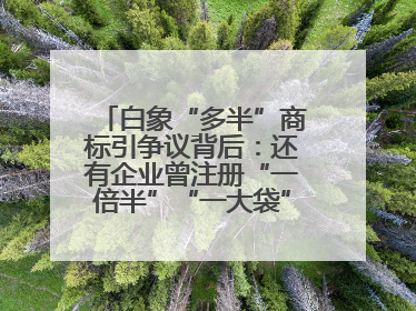 白象“多半”商标引争议背后：还有企业曾注册“一倍半”“一大袋”“1桶半”