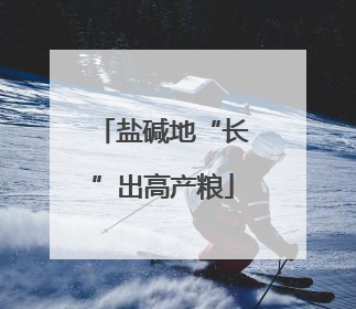 盐碱地“长”出高产粮