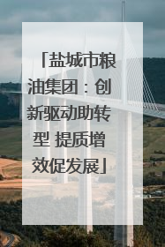盐城市粮油集团：创新驱动助转型 提质增效促发展