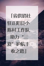 省供销社驻正阳县小陈村工作队 助力“三夏”护航丰收之路
