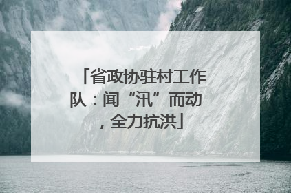 省政协驻村工作队：闻“汛”而动，全力抗洪