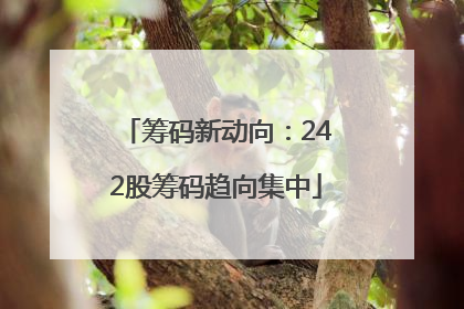 筹码新动向：242股筹码趋向集中