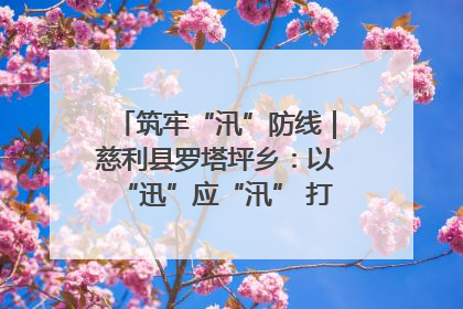 筑牢“汛”防线｜慈利县罗塔坪乡：以“迅”应“汛” 打赢暴雨防御战