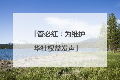 管必红：为维护华社权益发声