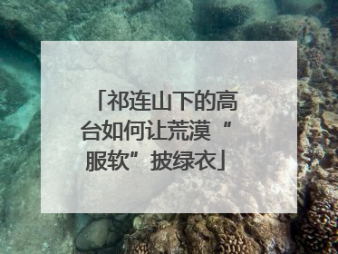 祁连山下的高台如何让荒漠“服软”披绿衣