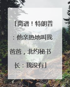 离谱！特朗普：他亲热地叫我爸爸，北约秘书长：我没有