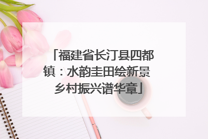 福建省长汀县四都镇：水韵圭田绘新景 乡村振兴谱华章