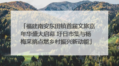 福建南安东田镇首届文旅嘉年华盛大启幕 圩日市集与杨梅采摘点燃乡村振兴新动能