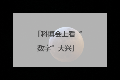 科博会上看“数字”大兴
