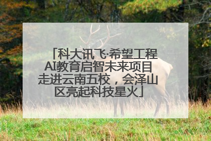 科大讯飞·希望工程AI教育启智未来项目走进云南五校，会泽山区亮起科技星火