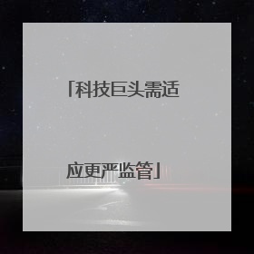 科技巨头需适应更严监管