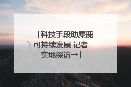 科技手段助麋鹿可持续发展 记者实地探访→
