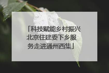 科技赋能乡村振兴 北京住建委下乡服务走进通州西集