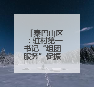 秦巴山区：驻村第一书记“组团服务”促振兴