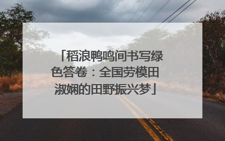 稻浪鸭鸣间书写绿色答卷：全国劳模田淑娴的田野振兴梦
