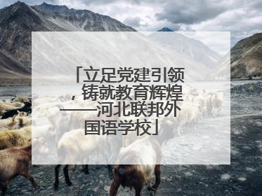 立足党建引领，铸就教育辉煌——河北联邦外国语学校