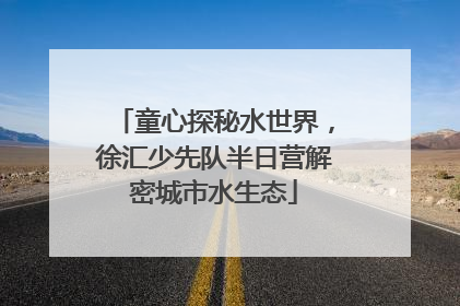 童心探秘水世界，徐汇少先队半日营解密城市水生态