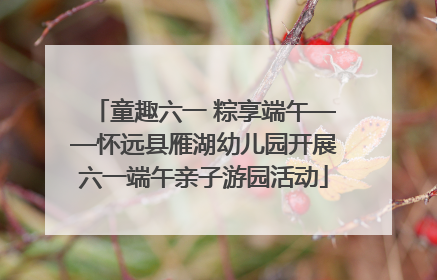 童趣六一 粽享端午——怀远县雁湖幼儿园开展六一端午亲子游园活动