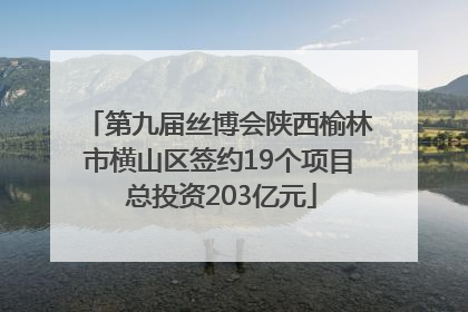 第九届丝博会陕西榆林市横山区签约19个项目 总投资203亿元