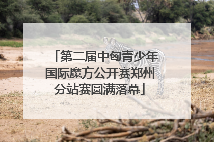 第二届中匈青少年国际魔方公开赛郑州分站赛圆满落幕