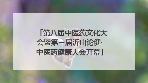 第八届中医药文化大会暨第三届沂山论健·中医药健康大会开幕