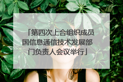 第四次上合组织成员国信息通信技术发展部门负责人会议举行