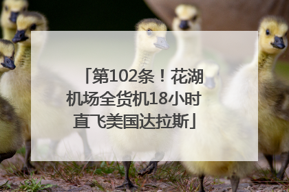 第102条！花湖机场全货机18小时直飞美国达拉斯