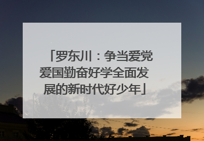 罗东川：争当爱党爱国勤奋好学全面发展的新时代好少年